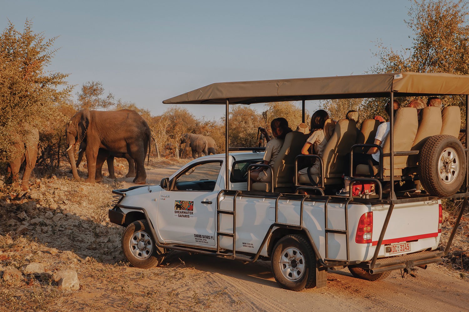 Wild Encounters Close to the Falls